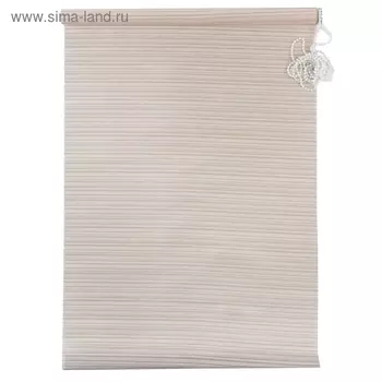 Штора рулонная «Зебрано», 70х160 см, цвет белый