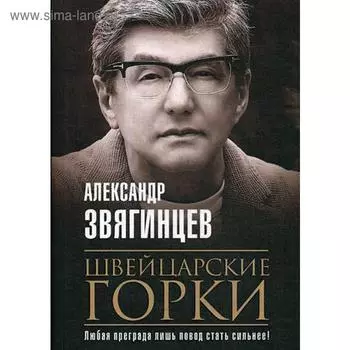 Швейцарские горки: роман. Звягинцев А.