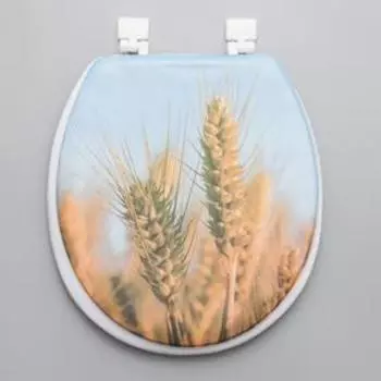 Сиденье для унитаза «Полюшко», 40×37 см