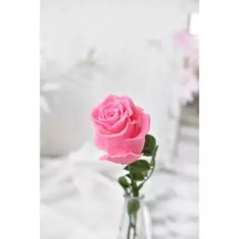 Силиконовая форма «Роза Афина S»