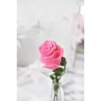 Силиконовая форма «Роза Афина S»