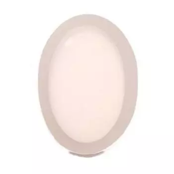 Силиконовый молд «Овал» 54×34