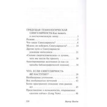 Сингулярность Виндж В.