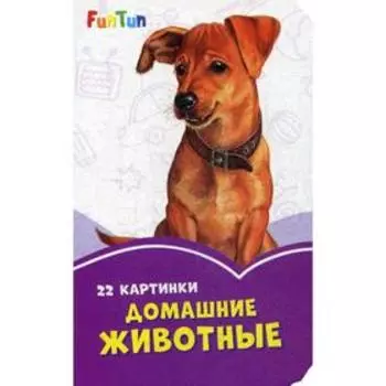 Сиреневые книжки. Домашние животные