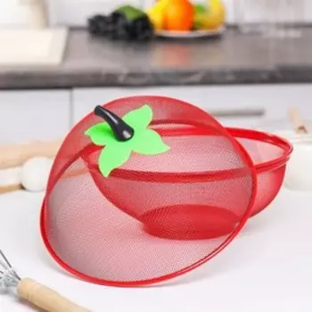 Сито с крышкой для хранения продуктов Доляна «Вкус», d=25 см, МИКС