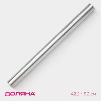 Скалка из нержавеющей стали Доляна «Бруни», 42,23,2 см, цвет серебристый