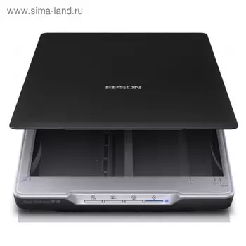 Сканер Epson Perfection V19 (B11B231401)