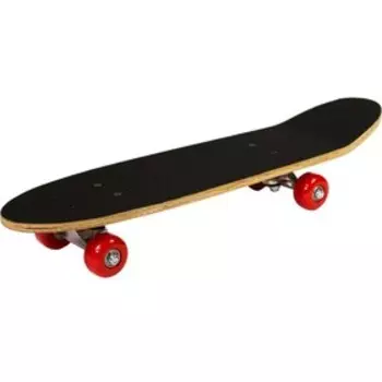 Скейтборд Atemi ASB24D02, 24х6"