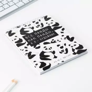 Скетчбук А5, 40 л 100 г/м «Панда»