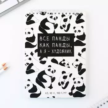 Скетчбук А5, 40 л 100 г/м «Панда»