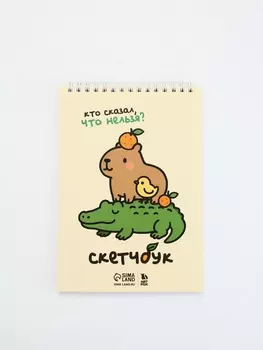 Скетчбук А5, 40 л. 100 г/м "Кто сказал, что нельзя?"