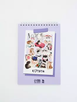 Скетчбук А5, 40 л. 100 г/м «Котики»