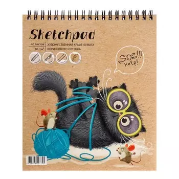 Скетчпад 168 х 195 мм, 40 листов на гребне "Глупый кот", блок крафт-бумага 80 г/м2