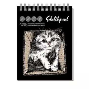 Скетчпад, 98 х 128 мм, 30 листов на гребне "Котик", облока мелованный картон, выборочный УФ-лак, чёрный офсет 120г/м2