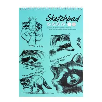 Скетчпад А4, 40 листов на гребне "Енот-полоскун", твёрдая обложка, матовая ламинация, блок 80 г/м2