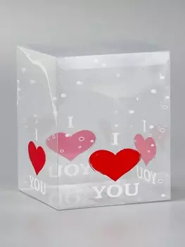 Складная коробка из PVC I love you, прозрачная с рисунком, 121215 см 5 шт.