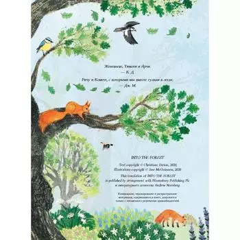 Сквозь лес. По всему свету от тропиков до тайги