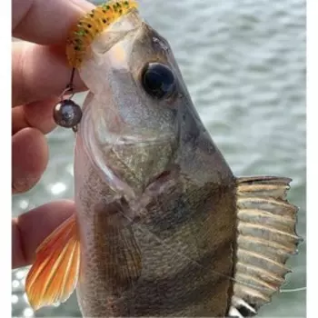 Слаги съедобные искусственные LJ Pro Series TRICK ULTRAWORM 2,0in (05.00)/PA19 9шт.