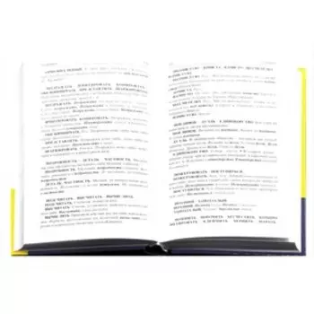 Словарь. Синонимов и антонимов русского языка.