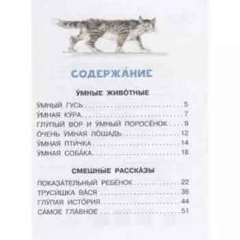 Смешные рассказы для детей