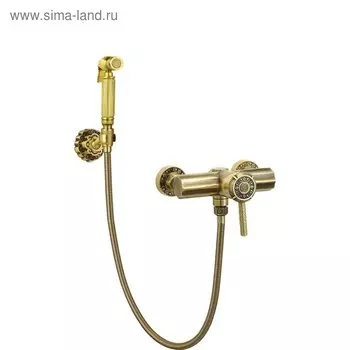 Смеситель для биде Bronze de luxe 10133, настенный, гигиеническая лейка с держателем