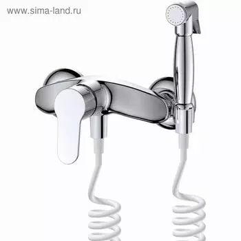 Смеситель для биде D&K Rhein Marx DA1394541, встраиваемый, с гигиеническим душем, хром