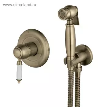 Смеситель для биде Lemark Villa LM4819B, с гигиеническим душем, встраиваемый, цвет бронза