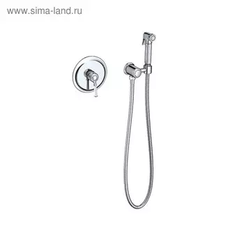 Смеситель для биде Timo Arisa 5309/00SM, встроенный с гигиеническим душем, хром