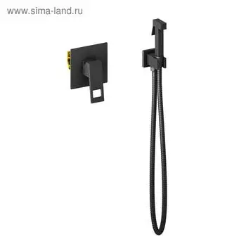 Смеситель для биде Timo Briana 7189/03SM, встроенный, с гигиеническим душем, черный