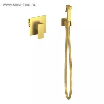 Смеситель для биде Timo Selene 2089/17SM, встроенный, с гигиеническим душем, золото