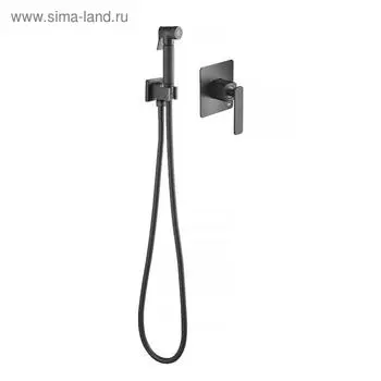 Смеситель для биде Timo Torne 4389/03SM, встроенный, с гигиеническим душем, черный