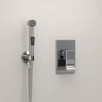 Смеситель для биде WasserKRAFT A010656, встраиваемый, с гигиеническим душем, латунь, хром