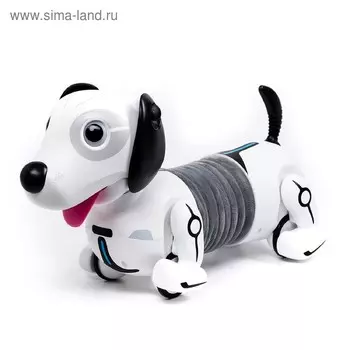 Собака робот "Дэкел"