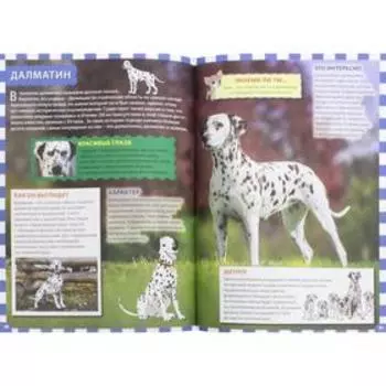 Собаки и щенки