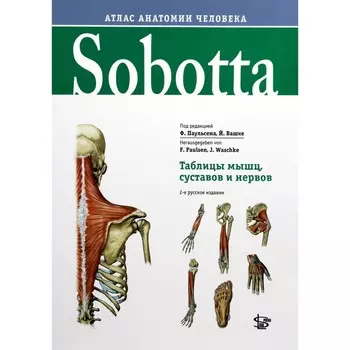 Sobotta. Таблицы мышц, суставов и нервов. Под ред. Паульсена Ф., Вашке Й.
