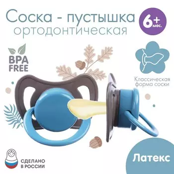 Соска - пустышка латексная ортодонтическая Крошка Я «Малыш», от 6 мес., коричневый/синий