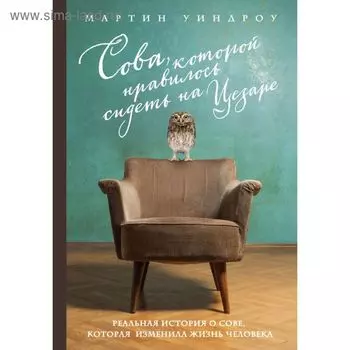 Сова, которой нравилось сидеть на Цезаре