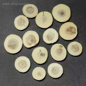 Спил дерева "Акации", круглый, d=4-7 см, h=3,5 мм