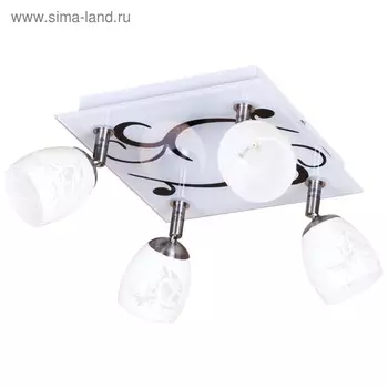 Спот «Дрина» 4x40Вт G9 матовый никель, белый 22x22x14см