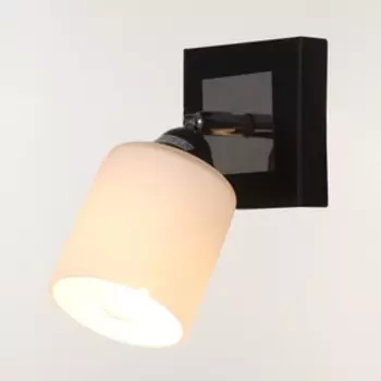 Спот "Энтера" 1x60Вт E27 хром-черный 10х10х20см.