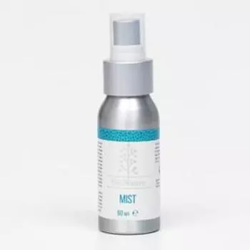 Спрей-мист Bionative, антисептический, увлажняющий, 60 мл