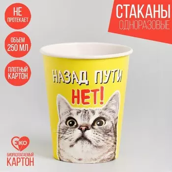 Стакан бумажный «Назад пути нет», набор 6 шт, 250 мл