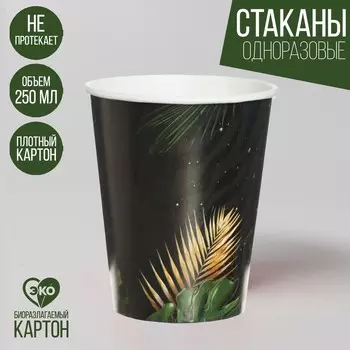 Стакан одноразовый бумажный "С днем рождения, тропики", 250 мл, однослойный