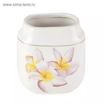 Стакан для зубной пасты и щётки Cise