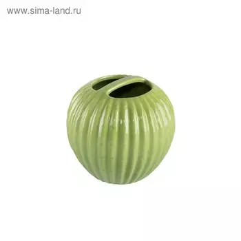 Стакан для зубных щёток Cactus, с разделителем