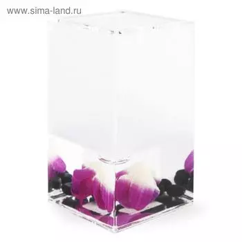 Стакан для зубных щёток Phalaenopsis