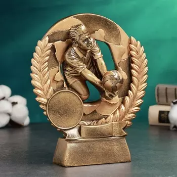 Фигура наградная, стела TAKE IT EASY «Волейбол мужской», 17521 см