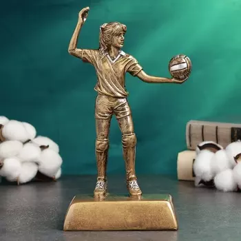 Фигура наградная, стела TAKE IT EASY «Волейбол женский», 12723 см