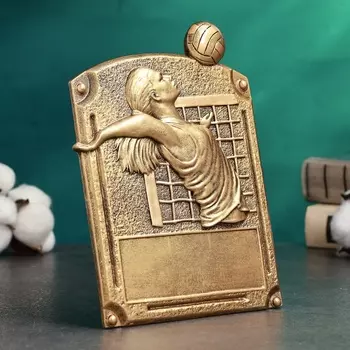 Фигура наградная, стела TAKE IT EASY «Волейбол женский», 14520 см