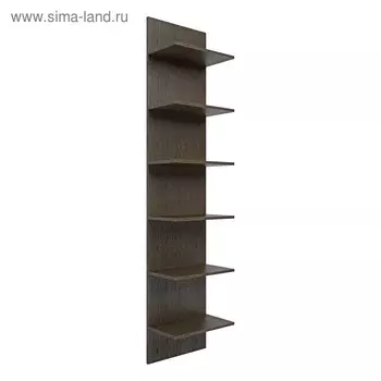 Стеллаж для увлечений 350х260х2000 Венге Темный